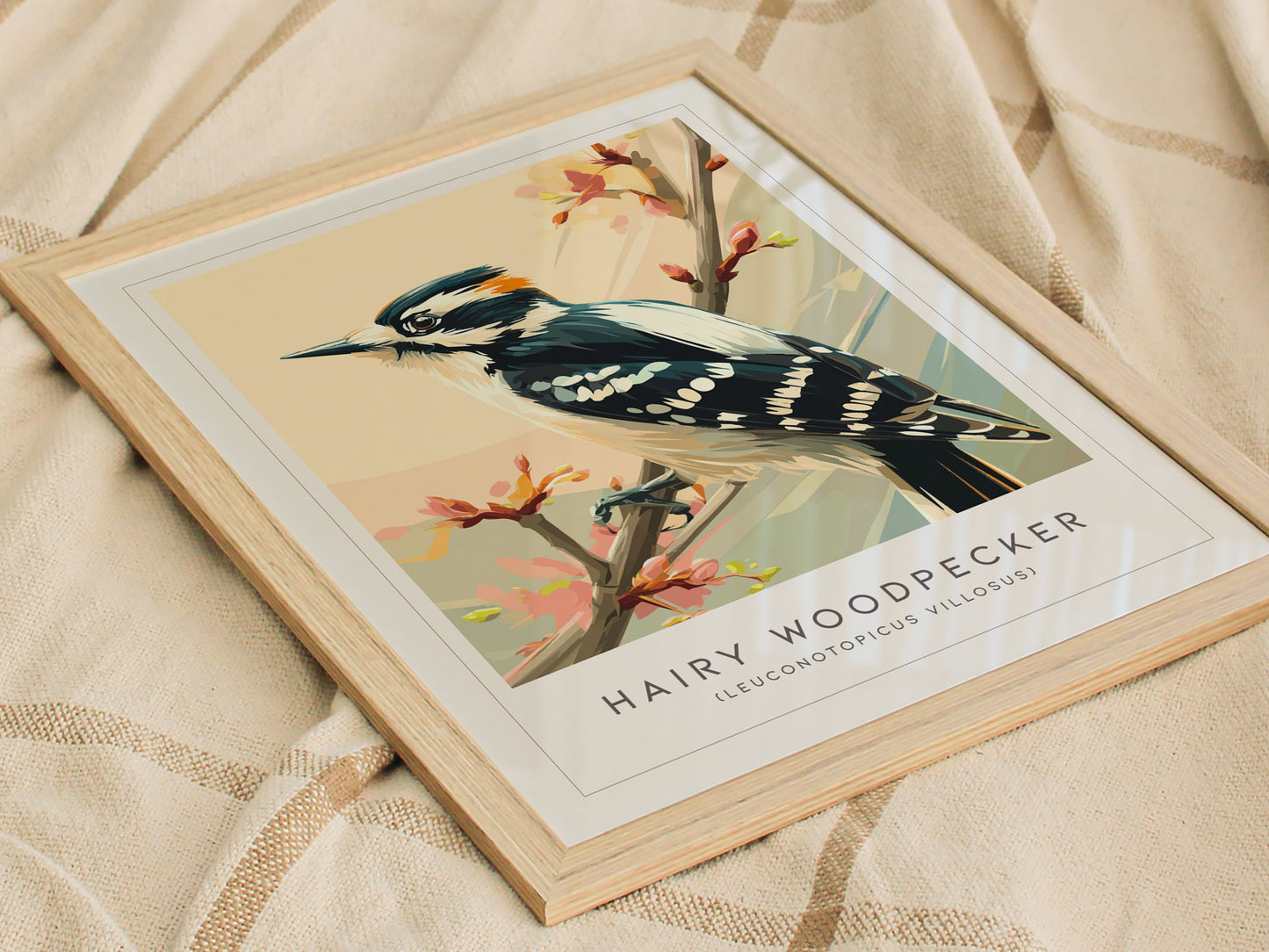 Hairy Woodpecker Poster | Bold Forest Bird Illustration Wall Art — styled in a modern interior