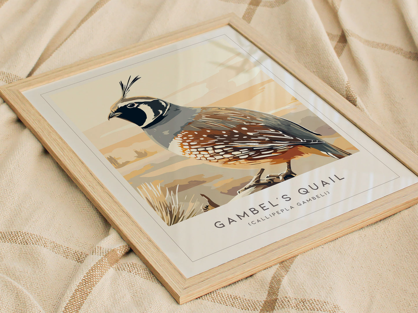 Gambel's Quail, Callipepla gambeli Poster | Desert Bird Wall Art Wildlife Print — styled in a modern interior