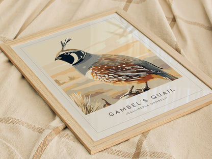 Gambel's Quail, Callipepla gambeli Poster | Desert Bird Wall Art Wildlife Print — styled in a modern interior