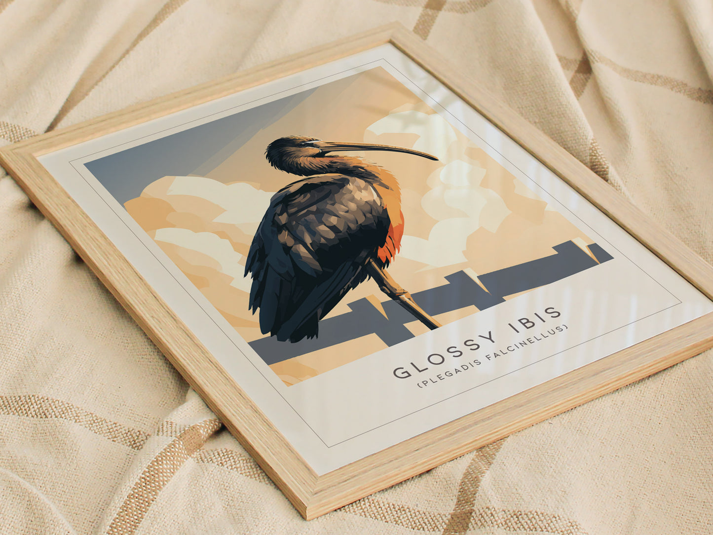 Glossy Ibis Poster | Iridescent Wading Bird Nature Wall Art — styled in a modern interior
