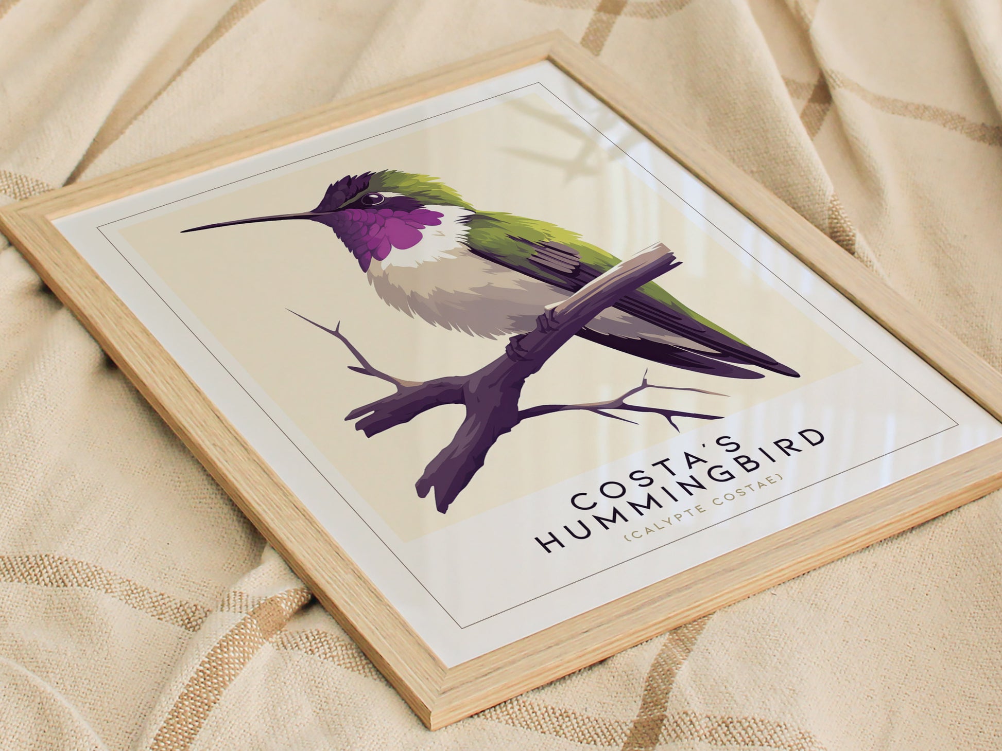 Costas Hummingbird Audubon Print | Bird Lover Wall Art | Framed or Unframed