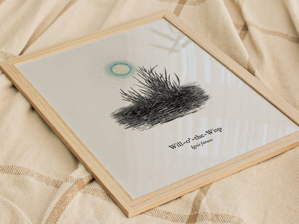Will-o'-the-Wisp Poster | Ignis Fatuus Pen and Ink Print | Vintage Scientific Illustration Wall Art — styled in a modern inte