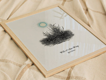 Will-o'-the-Wisp Poster | Ignis Fatuus Pen and Ink Print | Vintage Scientific Illustration Wall Art — styled in a modern inte