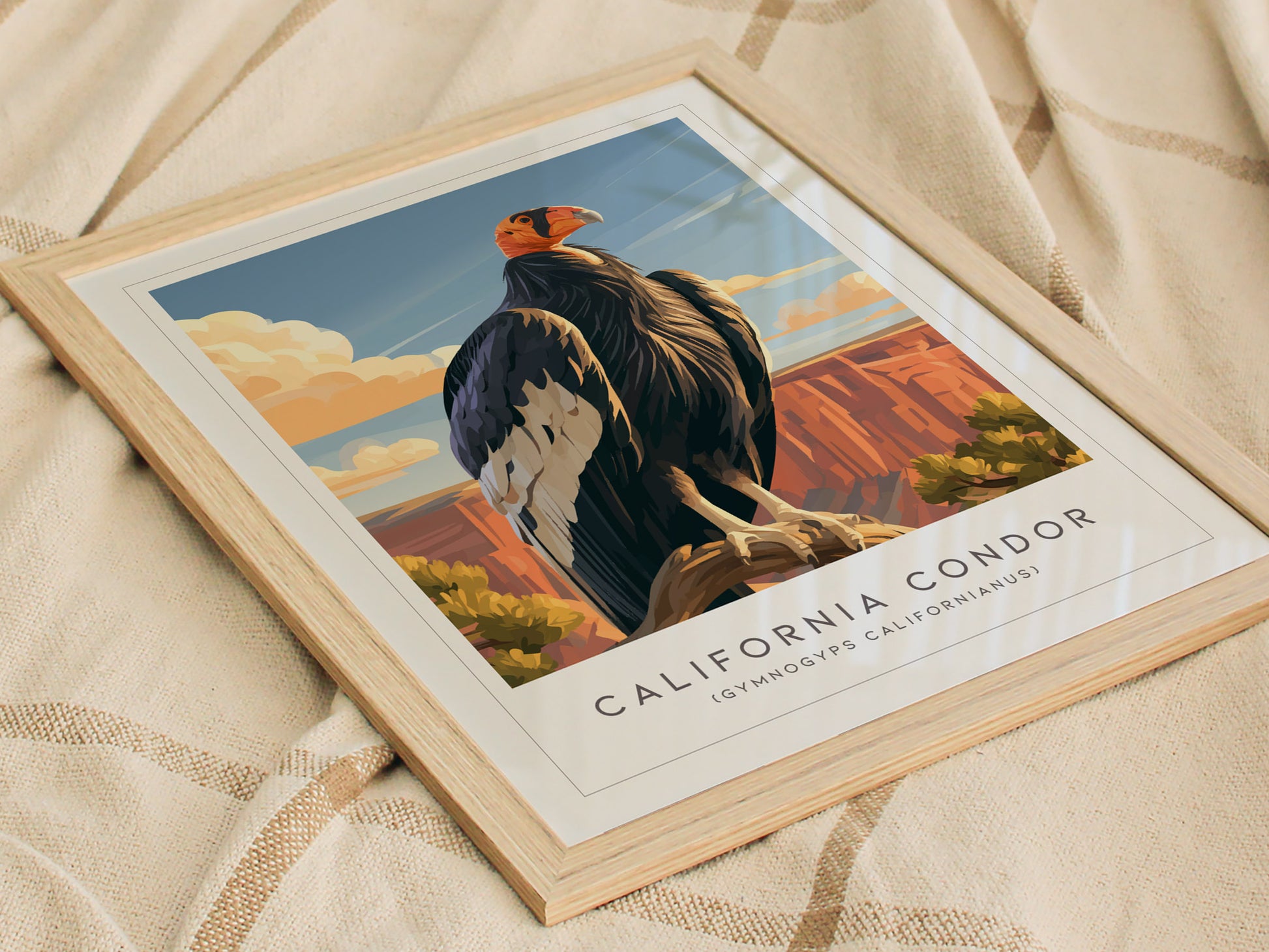 California Condor Poster | Majestic Wingspan Over Rugged Cliffs Wall Art — styled in a modern interior