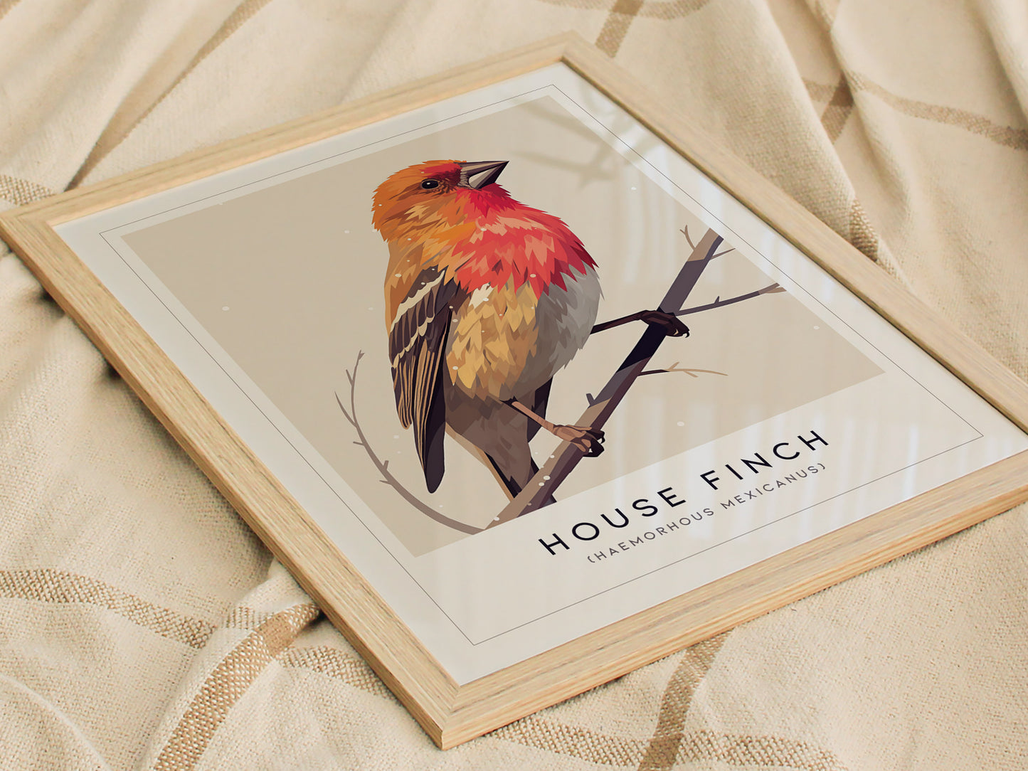 House Finch Poster | Haemorhous mexicanus Bird Wall Art