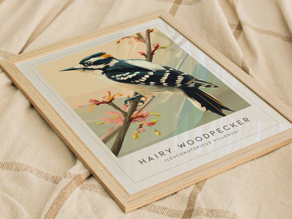 Hairy Woodpecker Poster | Bold Forest Bird Illustration Wall Art — styled in a modern interior