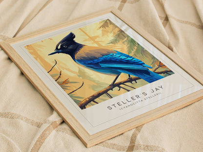 Steller's Jay, Cyanocitta stelleri Poster | Bold Mountain Bird Wall Art — styled in a modern interior