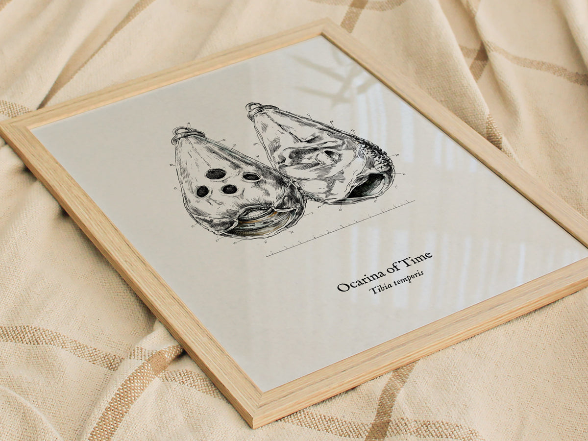 Ocarina of Time Poster | Tibia temporis Vintage Pen and Ink Print Scientific Illustration Wall Art — styled in a modern inter