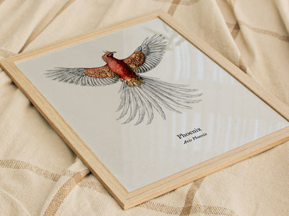 Phoenix Poster | Vintage Avis Phoenix Zoological Illustration Wall Art — styled in a modern interior