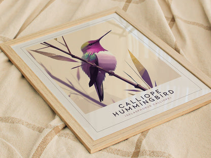 Calliope Hummingbird Audubon Print | Bird Lover Wall Art | Framed or Unframed