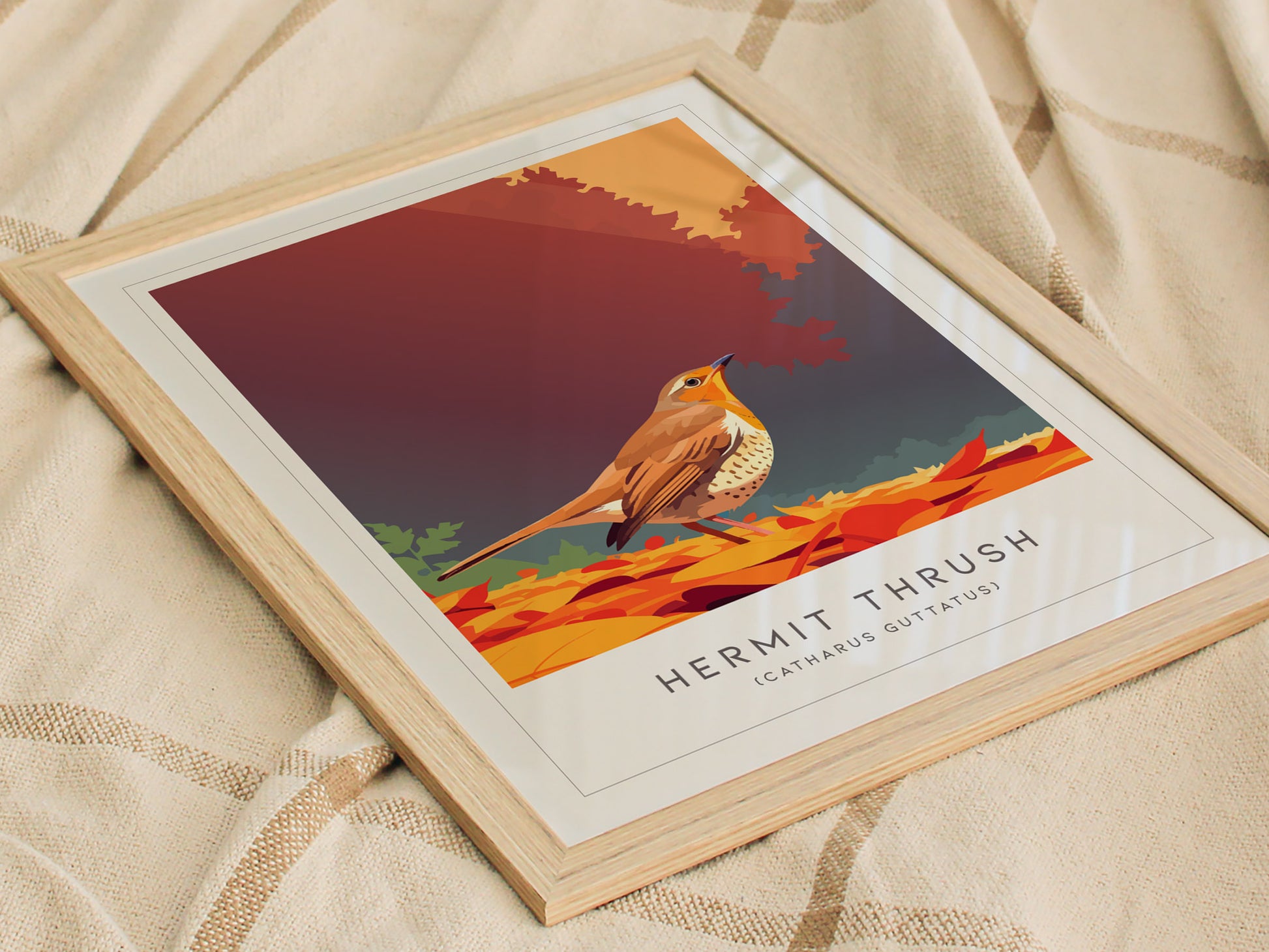 Hermit Thrush Poster | Woodland Songbird Forest Art Wall Art — styled in a modern interior