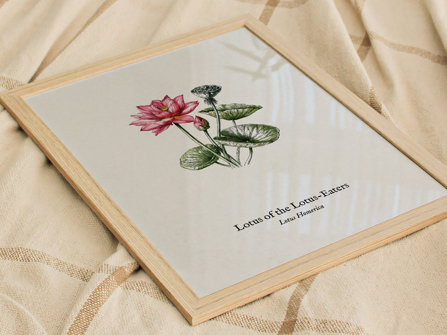 Lotus of the Lotus-Eaters Poster | Vintage Lotus Homerica Scientific Illustration Wall Art — styled in a modern interior