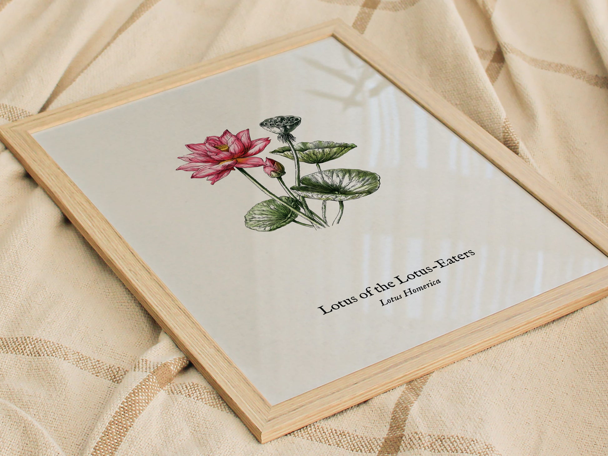 Lotus of the Lotus-Eaters Poster | Vintage Lotus Homerica Scientific Illustration Wall Art — styled in a modern interior