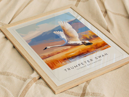 Trumpeter Swan Poster | Elegant Waterbird in Winter Calm Wall Art — styled in a modern interior