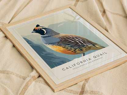 California Quail Poster | Golden State Bird Illustration Wall Art — styled in a modern interior