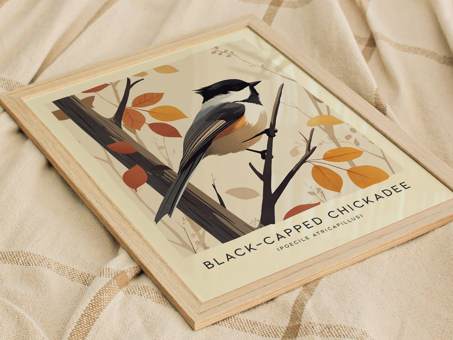 Black-Capped Chickadee Audubon Print | Modern Bird Lover Wall Art | Framed of Unframed