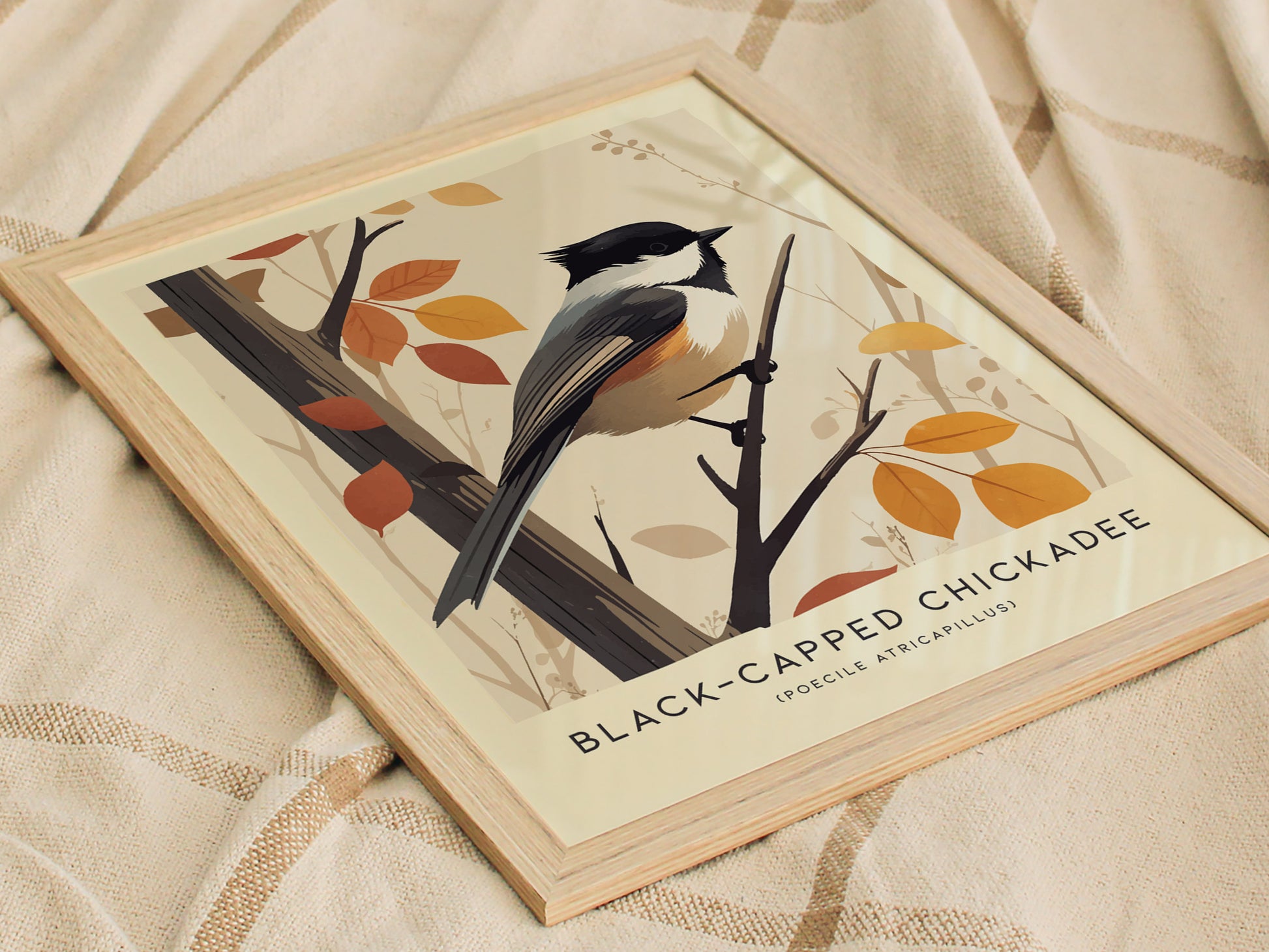 Black-Capped Chickadee Audubon Print | Modern Bird Lover Wall Art | Framed of Unframed