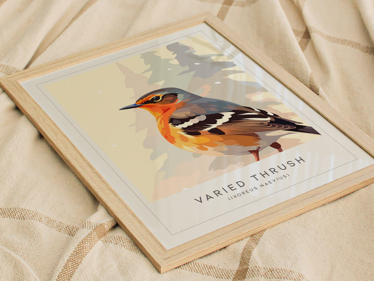 Varied Thrush, Ixoreus naevius Poster | Bold Forest Songbird Nature Poster Wall Art — styled in a modern interior
