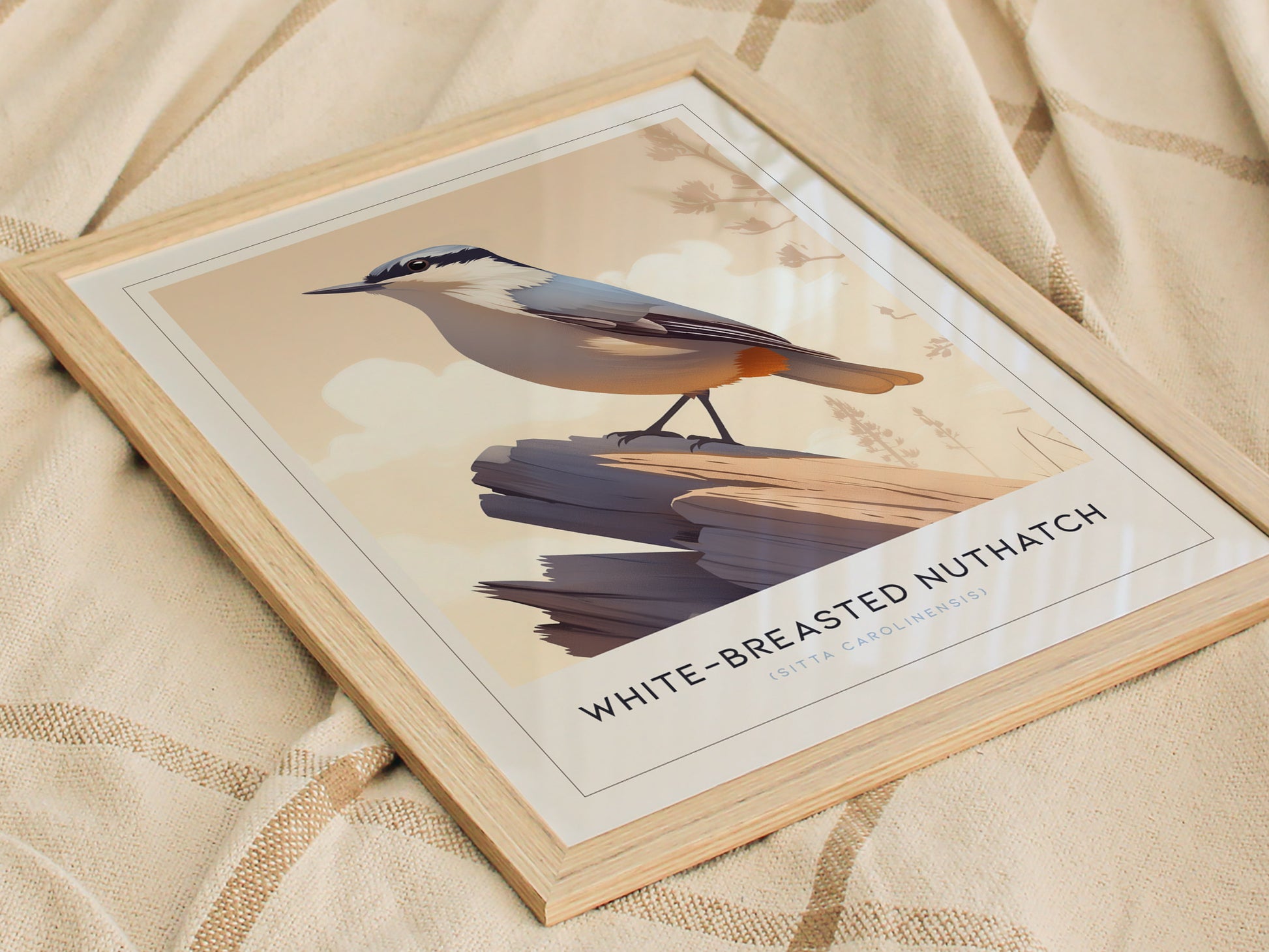 White-Breasted Nuthatch Poster | Minimalist Bird Art Birdwatcher Gift