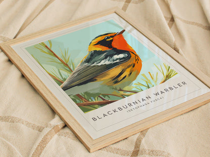 Blackburnian Warbler, Setophaga fusca Poster | Fiery Songbird Nature Print Wall Art — styled in a modern interior