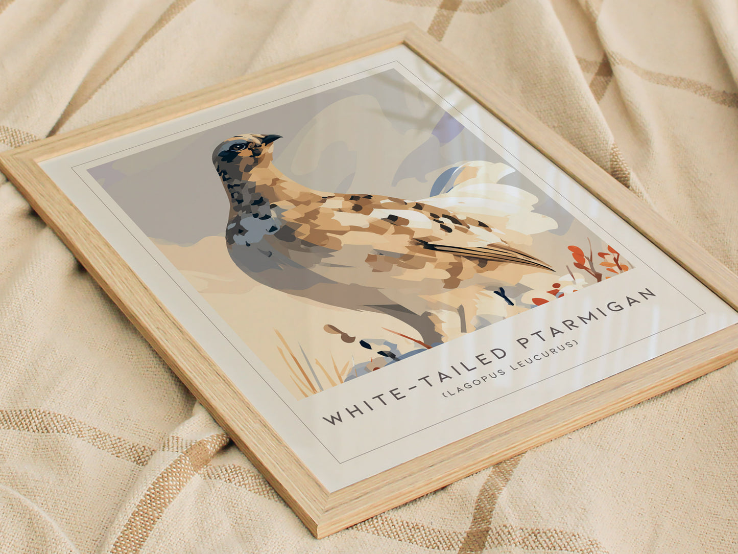 White-tailed Ptarmigan, Lagopus leucurus Poster | Alpine Bird Wall Art — styled in a modern interior