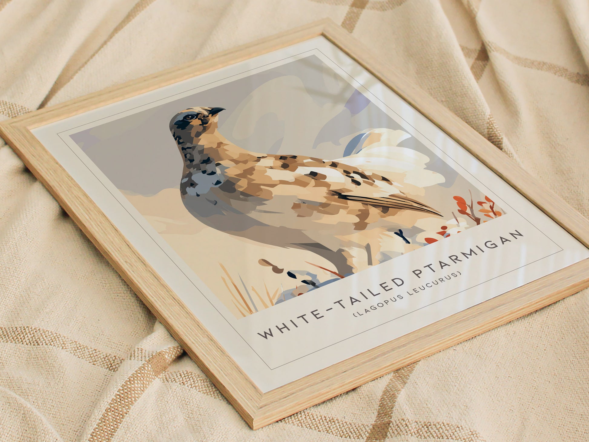 White-tailed Ptarmigan, Lagopus leucurus Poster | Alpine Bird Wall Art — styled in a modern interior