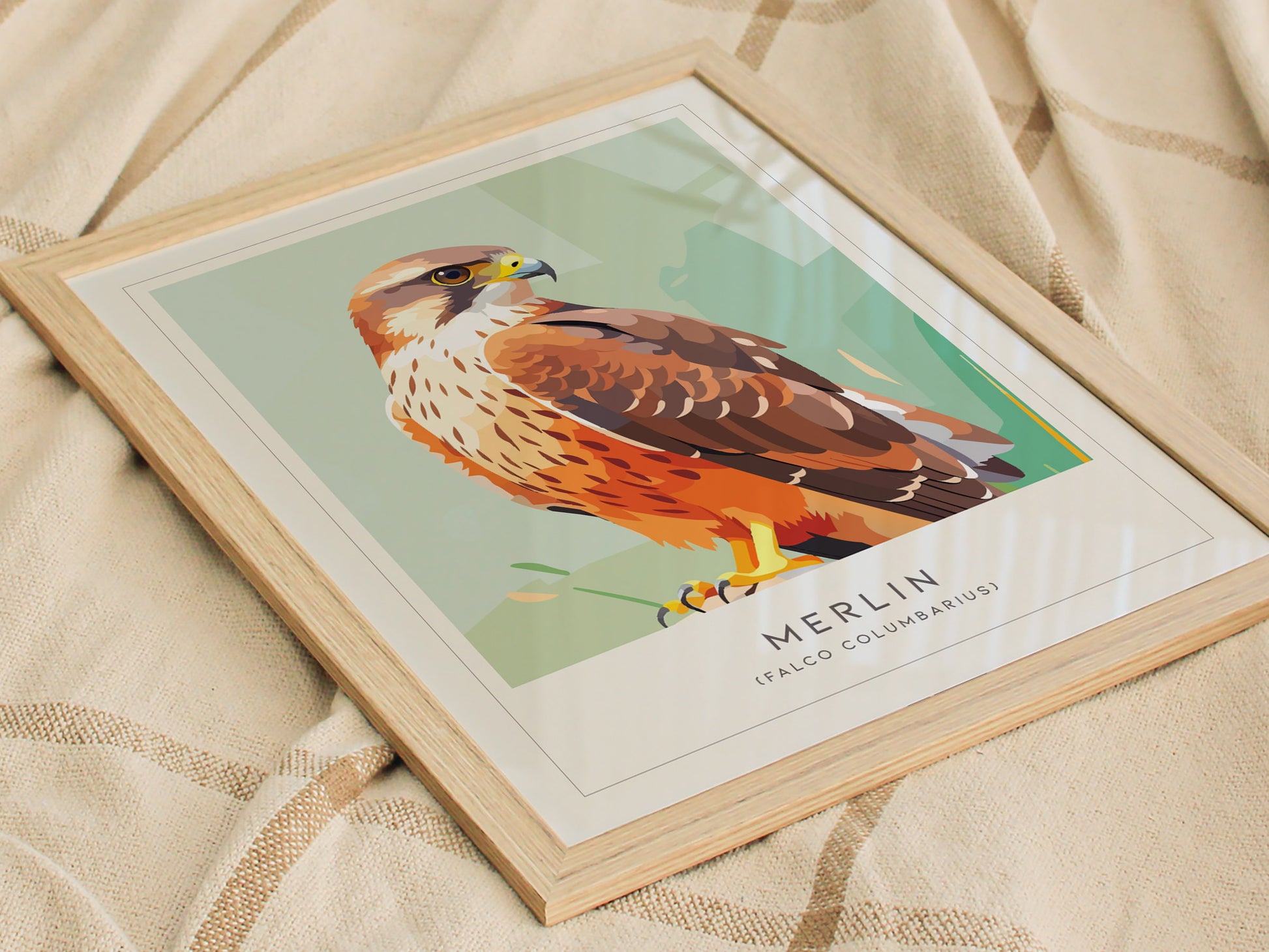 Merlin Bird Poster | Compact Falcon in Flight Wall Art — styled in a modern interior
