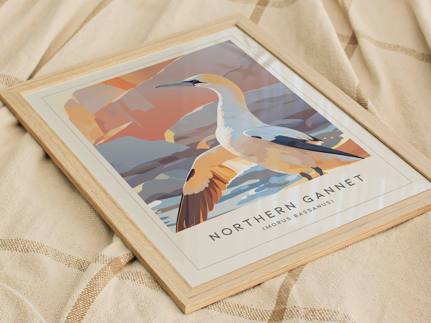 Northern Gannet, Morus bassanus Poster | Striking Seabird Wildlife Print Wall Art — styled in a modern interior