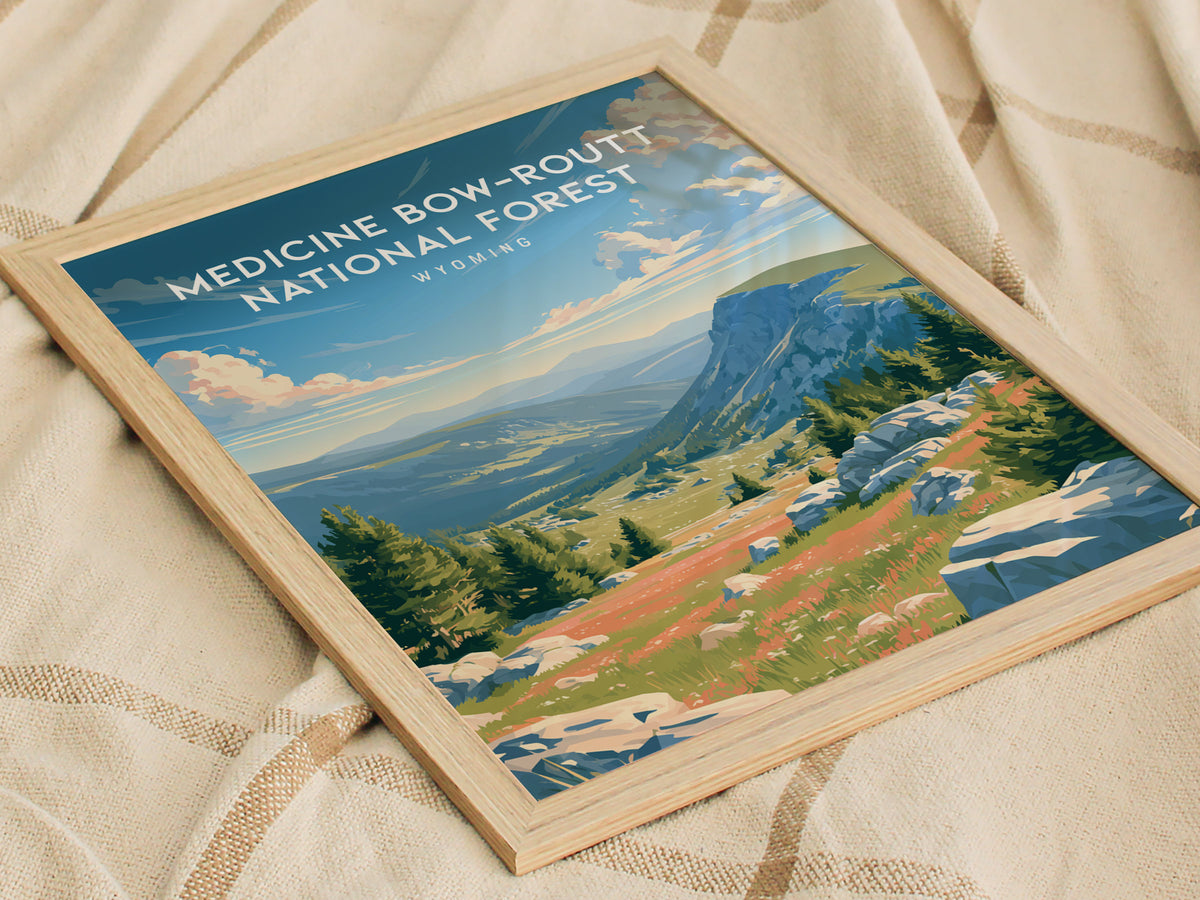 Medicine Bow-Routt National Forest, Wyoming Poster | Alpine Wilderness & Mountain Meadows Wall Art — styled in a modern inter