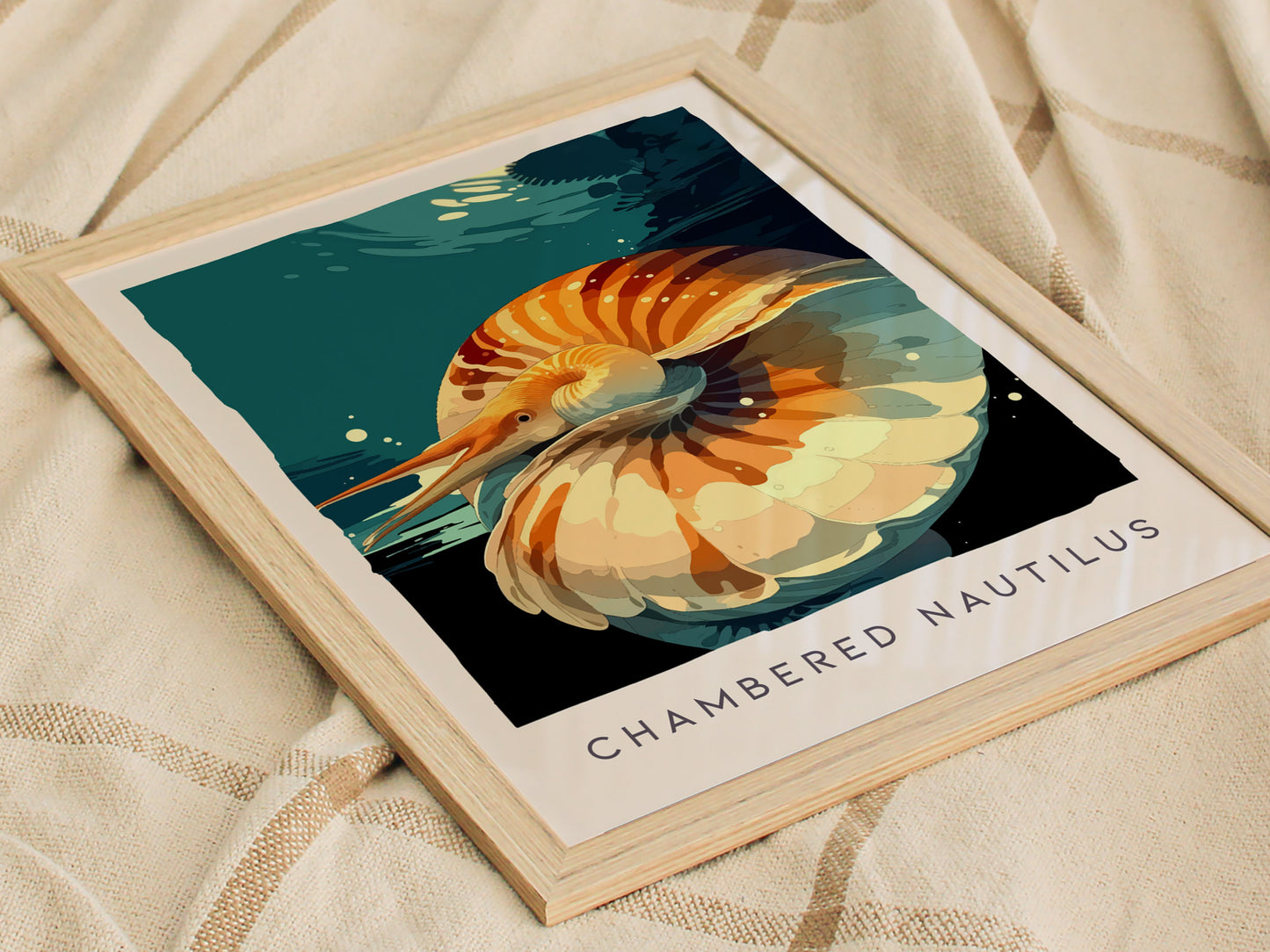 Chambered Nautilus Poster | Golden Spiral Shell Wildlife Wall Art — styled in a modern interior