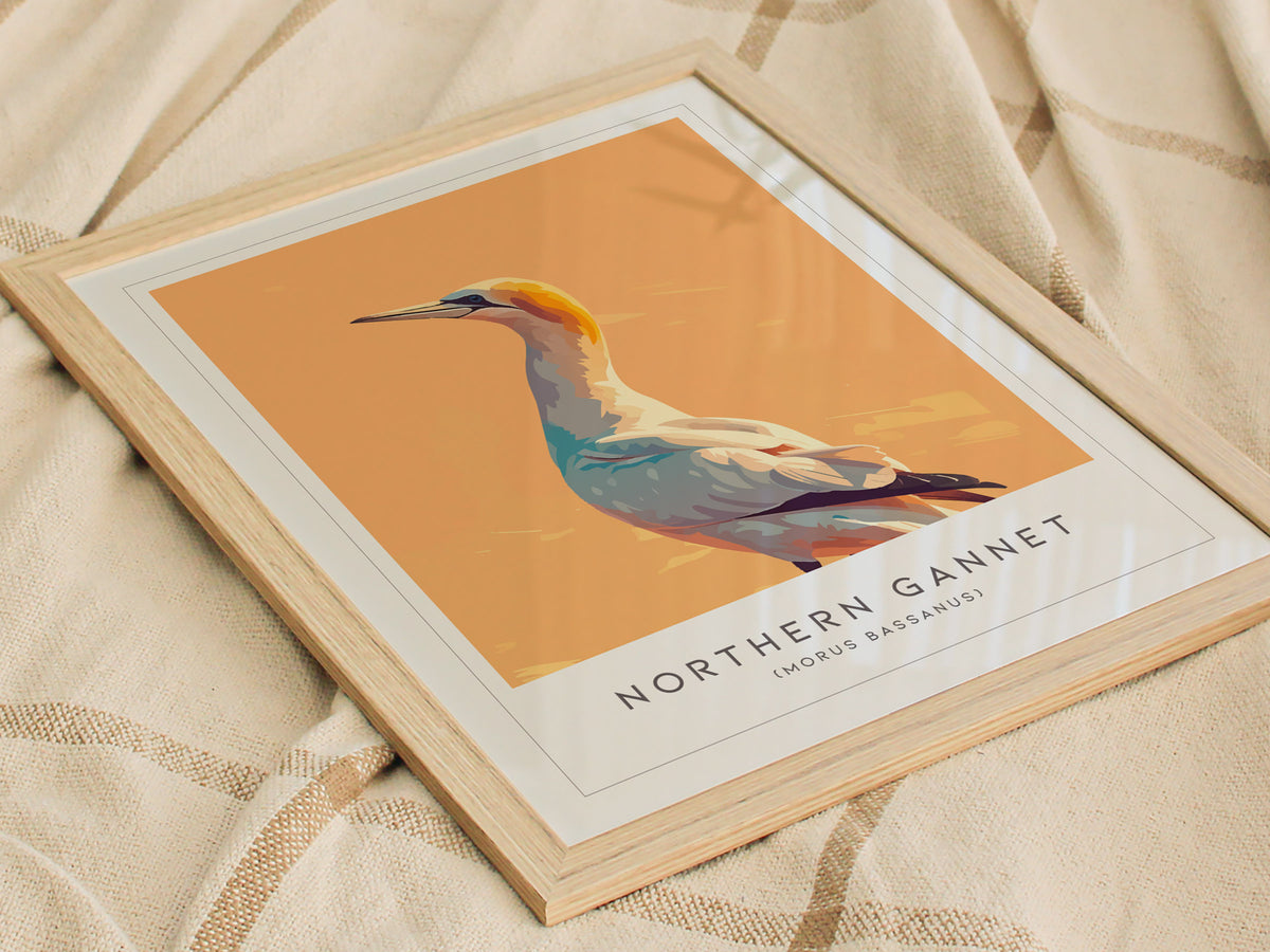 Northern Gannet, Morus bassanus Poster | Striking Seabird Wildlife Print Wall Art — styled in a modern interior
