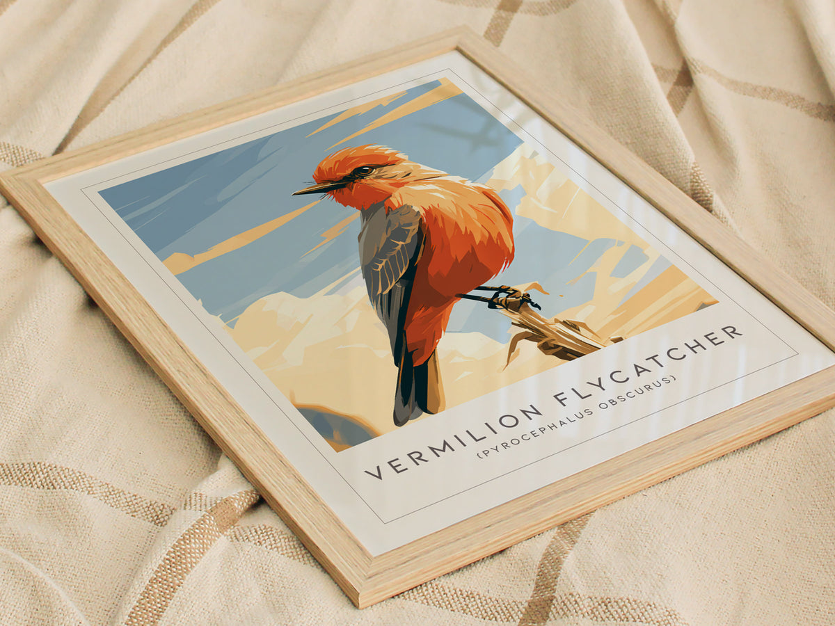 Vermilion Flycatcher, Pyrocephalus obscurus Poster | Brilliant Songbird Nature Poster Wall Art — styled in a modern interior