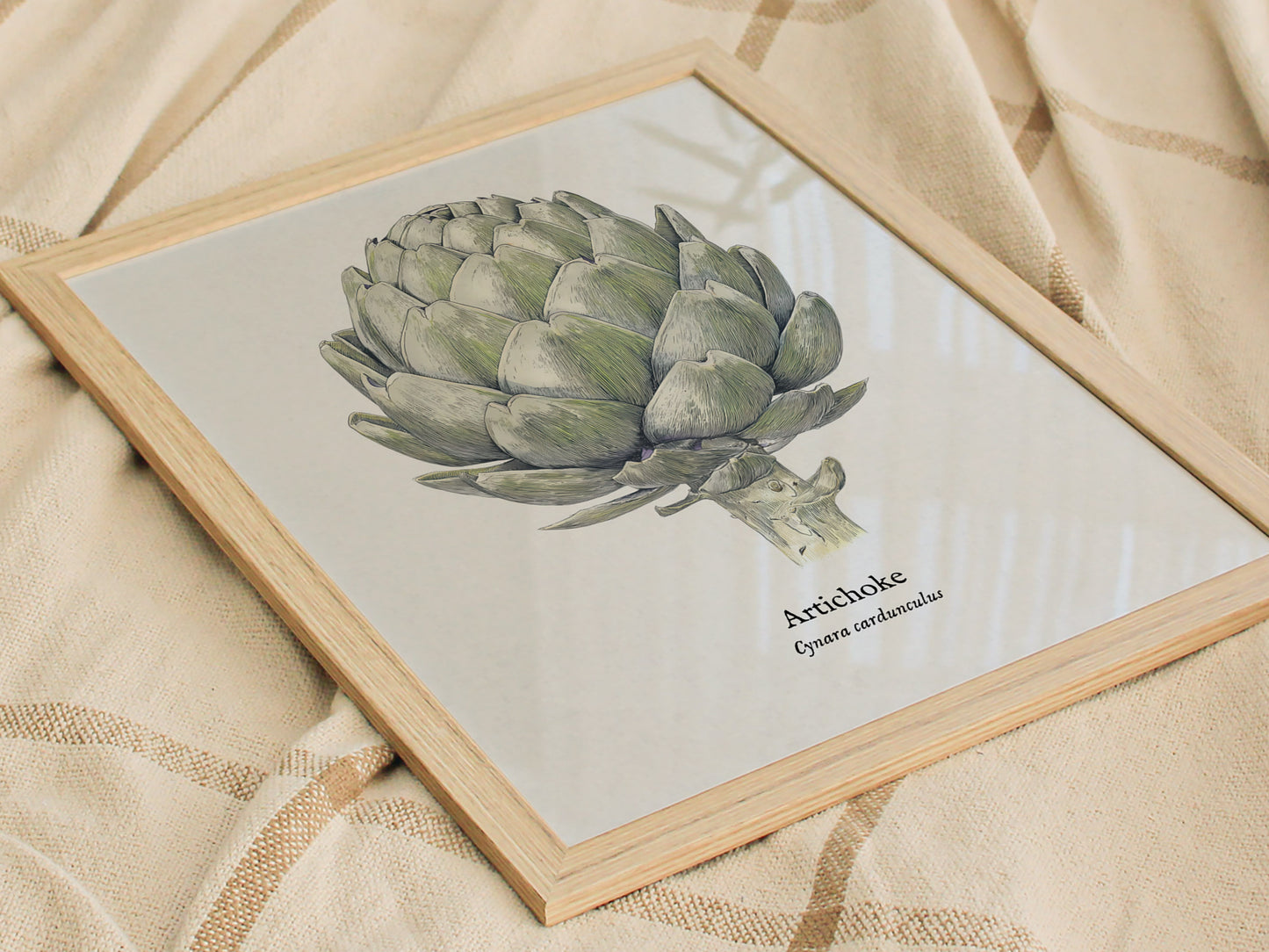 Artichoke Poster | Vintage Cynara Cardunculus Botanical Illustration Wall Art — styled in a modern interior