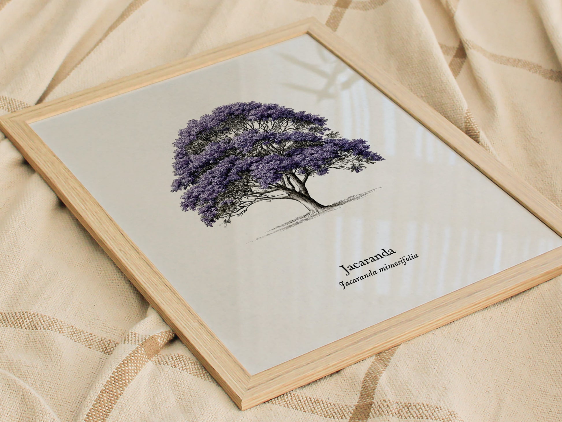 Jacaranda Poster | Vintage Jacaranda mimosifolia Botanical Illustration Wall Art — styled in a modern interior