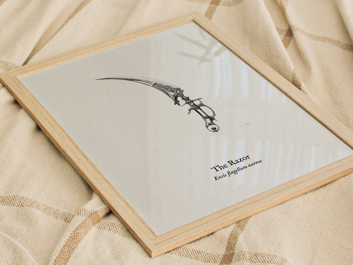 The Razor Poster | Ensis Flagellum Aureus Pen and Ink Print | Vintage Zoological Illustration Wall Art — styled in a modern i