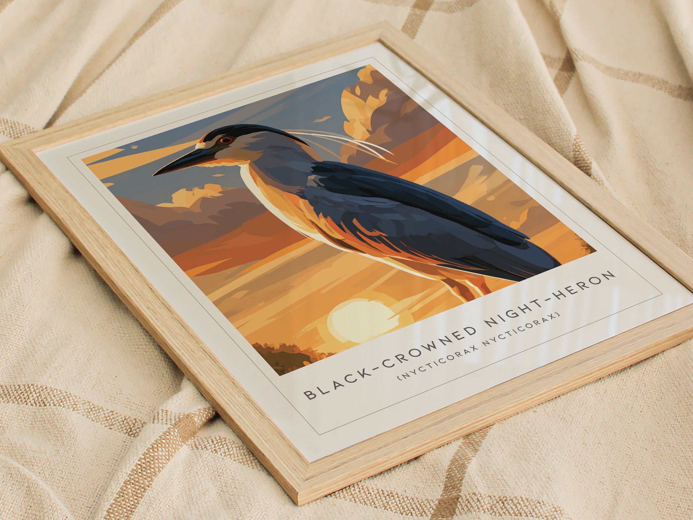 展示美品 TIME＆STYLE night bird シングル Black-crowned Night-Heron, Nycticorax nycticorax Poster | Elegant