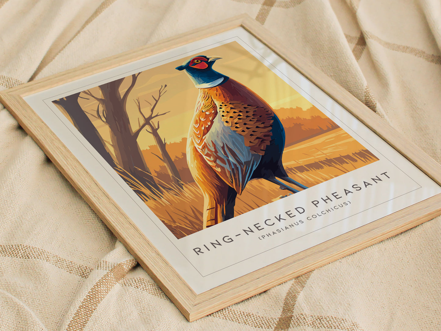 Ring-necked Pheasant Poster | Vibrant Gamebird Wildlife Art Wall Art — styled in a modern interior
