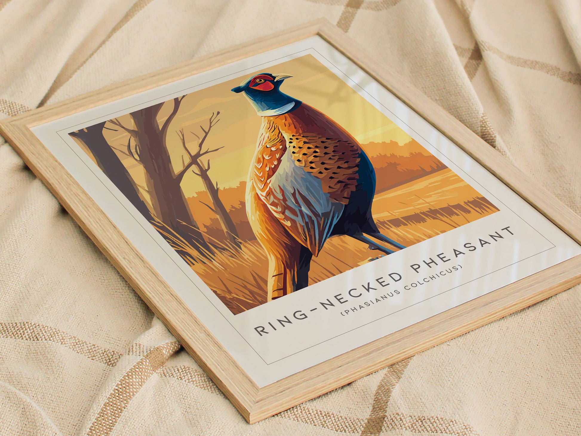 Ring-necked Pheasant Poster | Vibrant Gamebird Wildlife Art Wall Art — styled in a modern interior