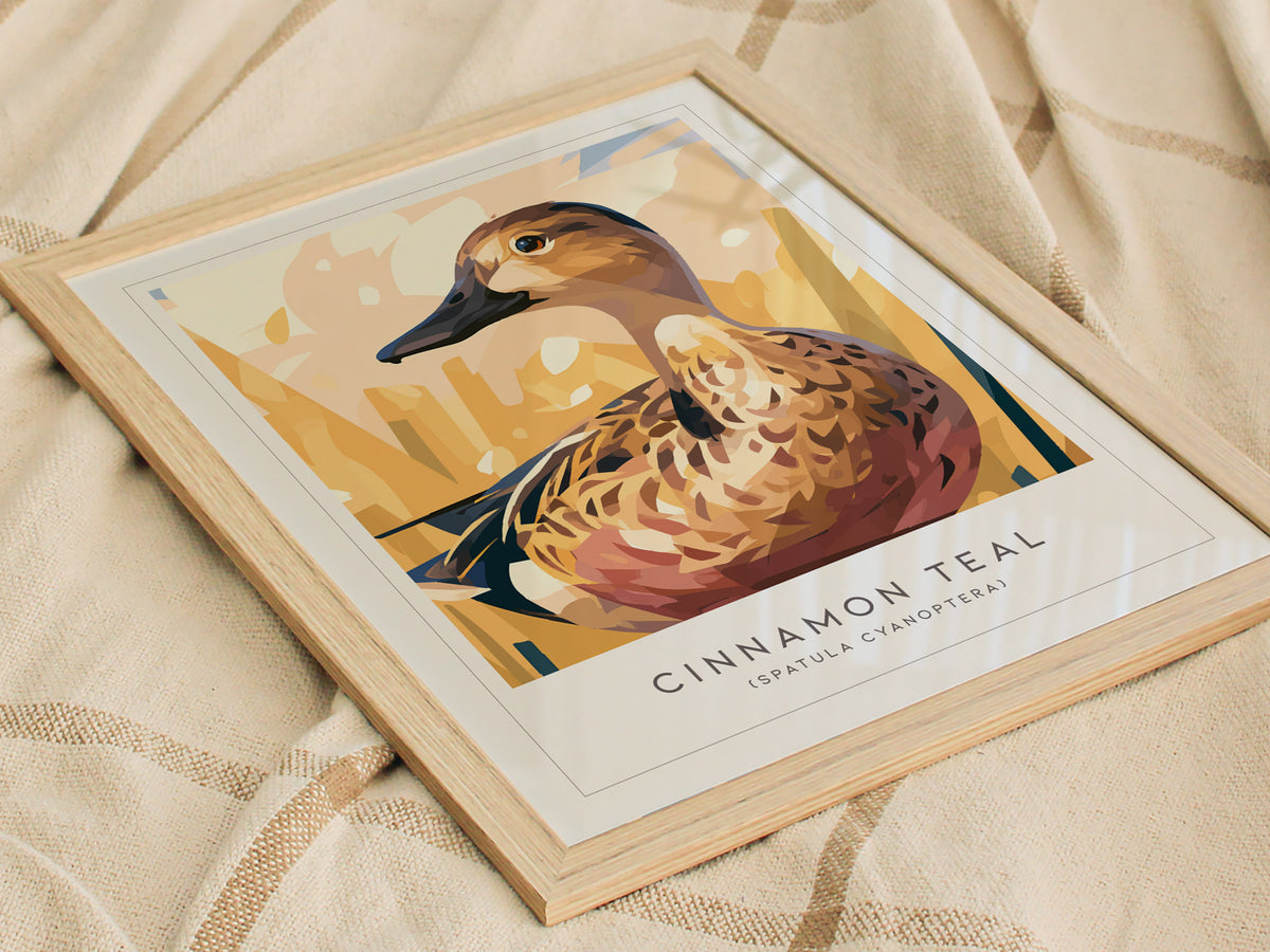 Cinnamon Teal, Spatula cyanoptera Poster | Vibrant Wetland Bird Wall Art — styled in a modern interior