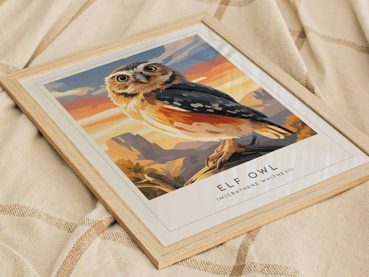 Elf Owl Poster | Desert Night Tiny Owl Wall Art — styled in a modern interior