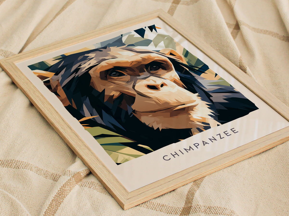 Chimpanzee, Pan troglodytes Poster | Primate Portrait Wildlife Wall Art — styled in a modern interior