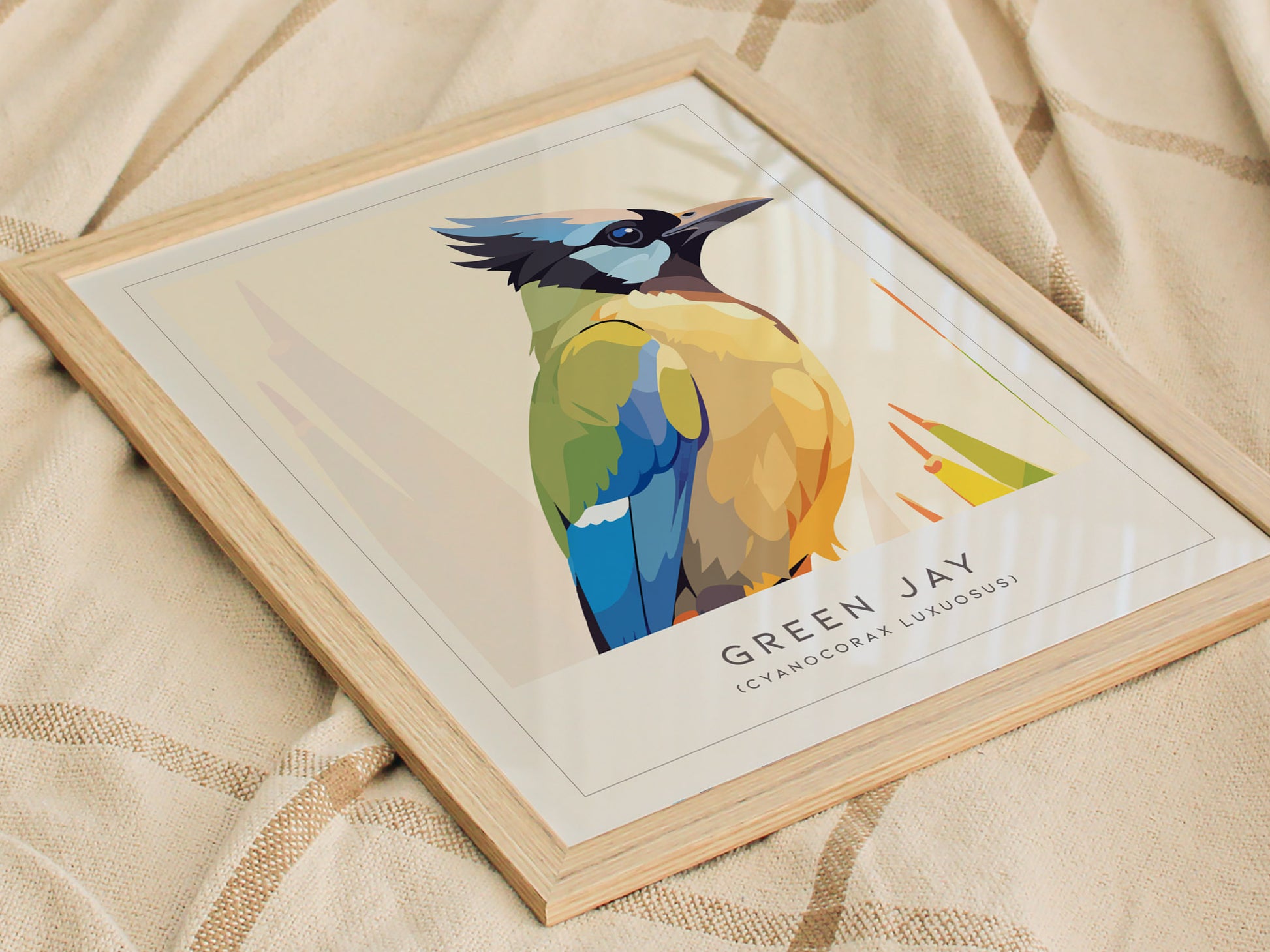 Green Jay, Cyanocorax luxuosus Poster | Tropical Bird Wall Art — styled in a modern interior