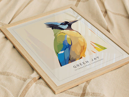 Green Jay, Cyanocorax luxuosus Poster | Tropical Bird Wall Art — styled in a modern interior