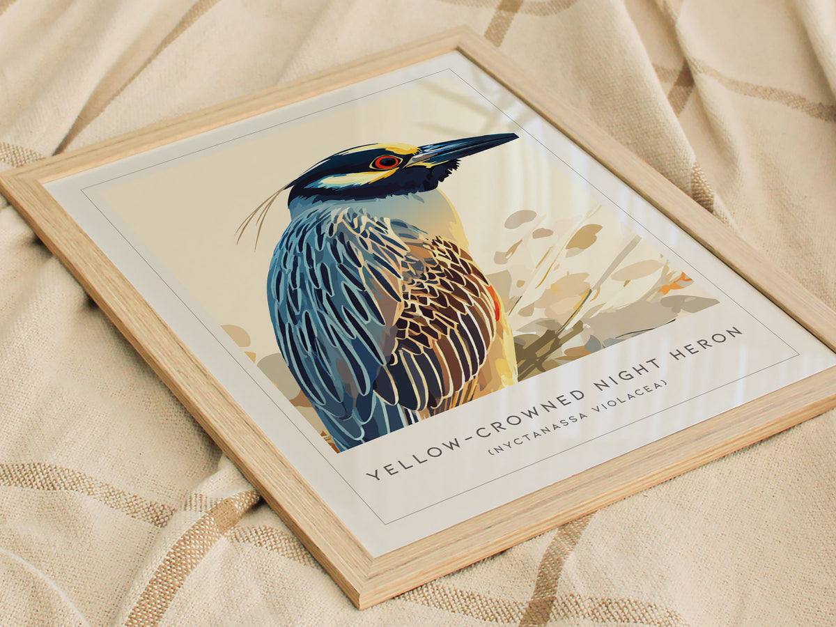 Yellow-crowned Night Heron, Nyctanassa violacea Poster | Elegant Wading Bird Wall Art — styled in a modern interior