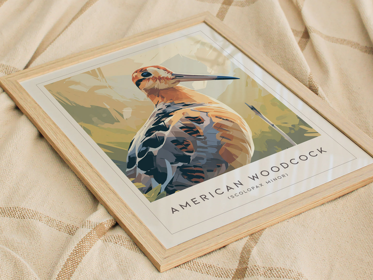 American Woodcock Poster | Woodland Shorebird Nature Illustration Wall Art — styled in a modern interior