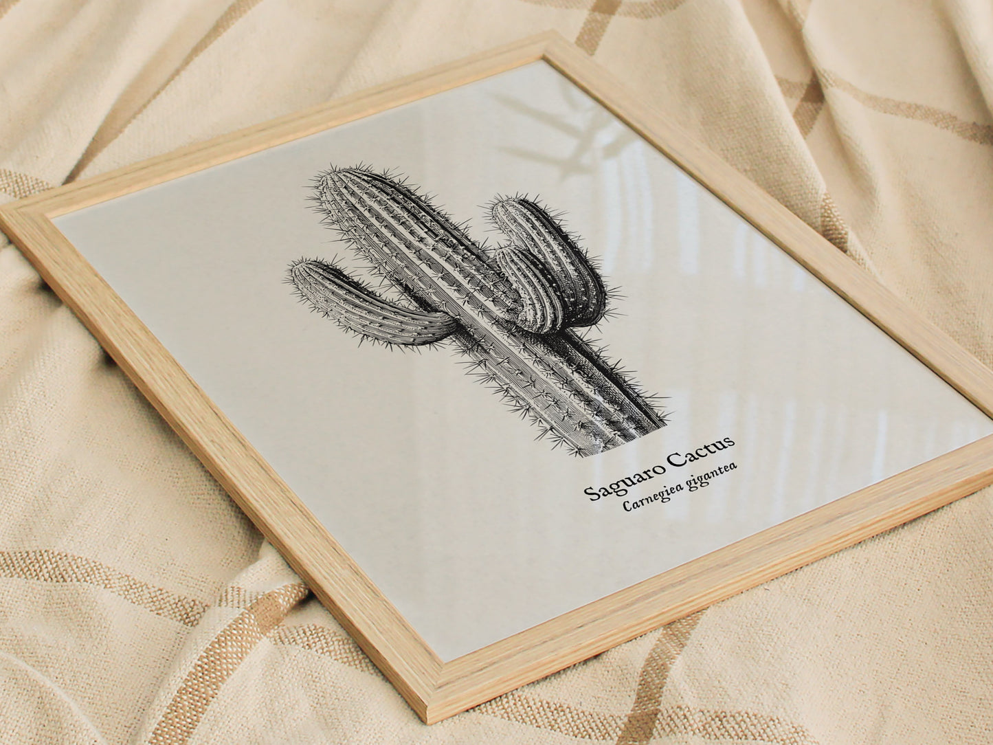 Saguaro Cactus Poster | Vintage Carnegiea gigantea Botanical Illustration Wall Art — styled in a modern interior