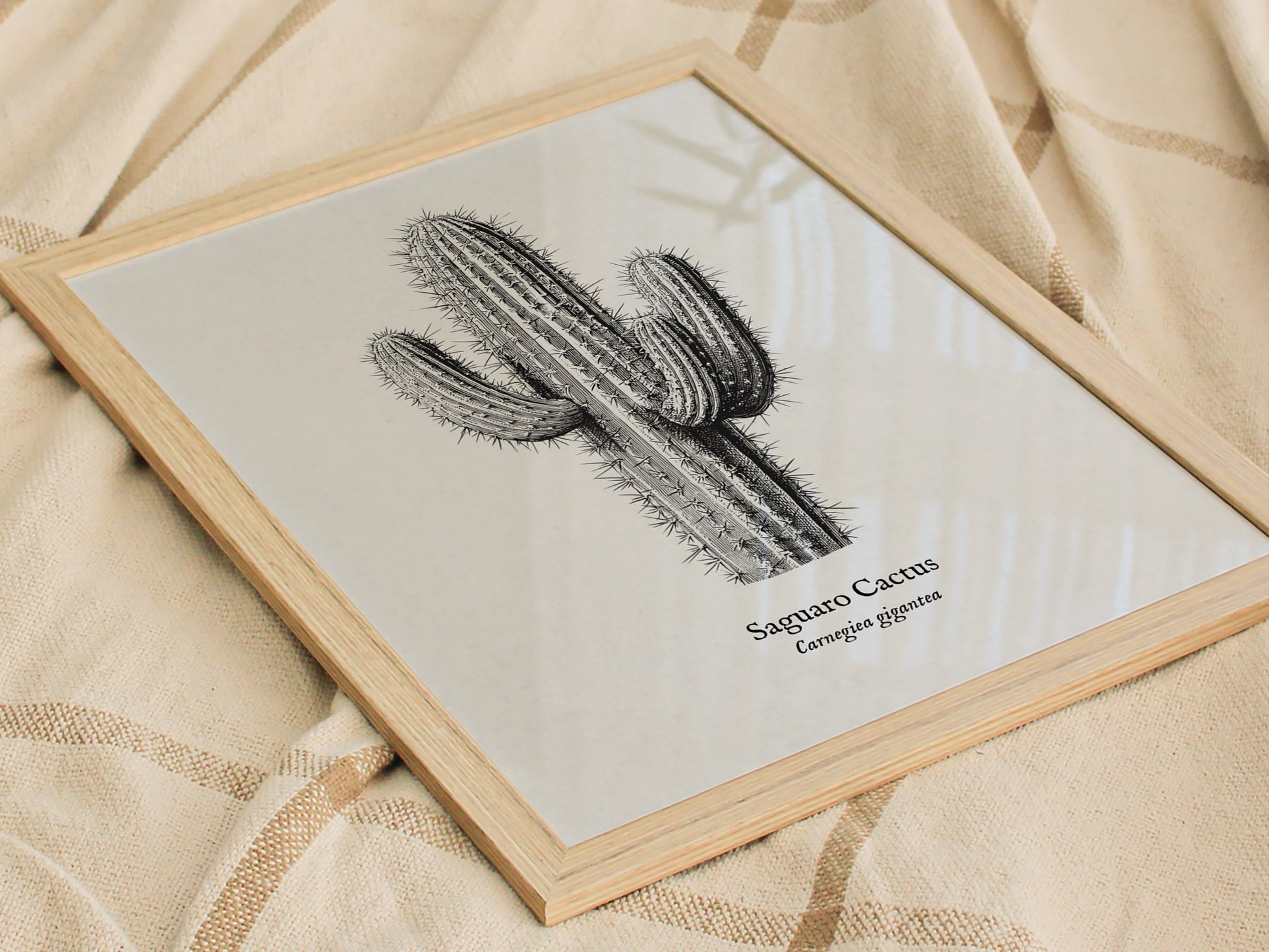 Saguaro Cactus Poster | Vintage Carnegiea gigantea Botanical Illustration Wall Art — styled in a modern interior