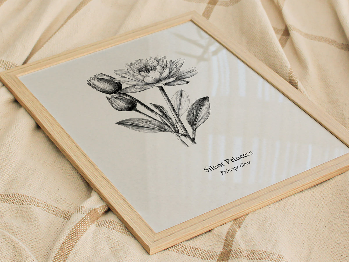 Silent Princess Poster | Princeps Silens Pen and Ink Print Vintage Scientific Illustration Wall Art — styled in a modern inte