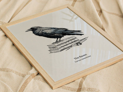 The Raven Poster | Corvus Nevermore Pen and Ink Print Zoological Illustration Wall Art — styled in a modern interior