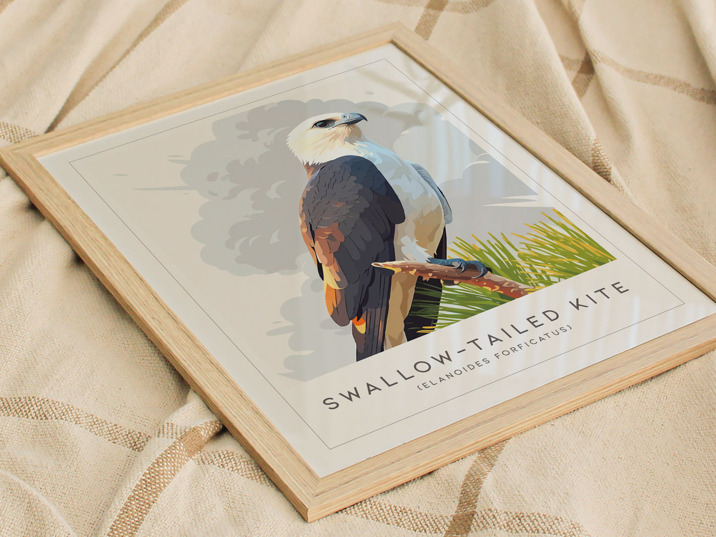 Swallow-tailed Kite Poster | Graceful Raptor in Flight Wall Art — styled in a modern interior